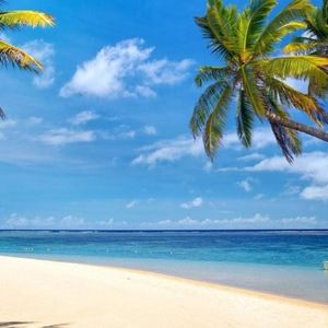 Meet your Posher, Noelle